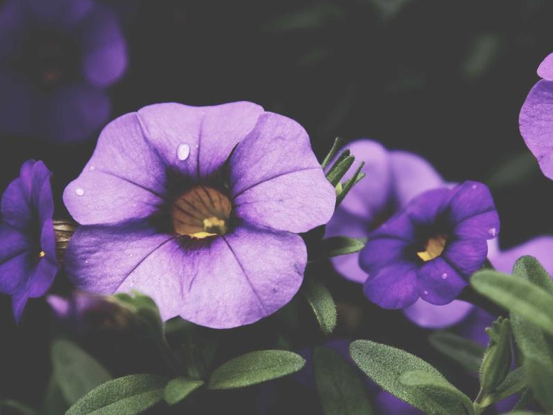 sudoku cross hatching screenshot 4